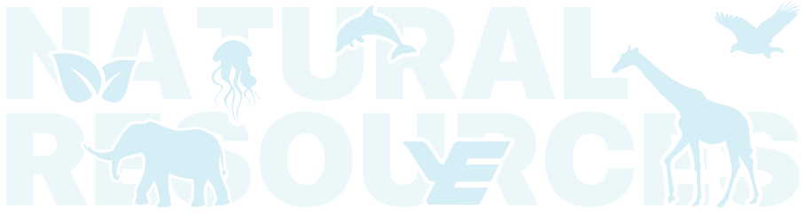 必赢亚州bwin·(中国区)官方网站